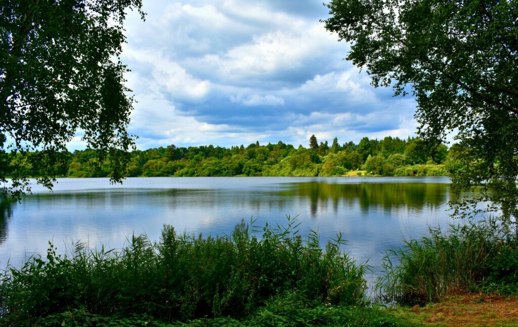 Virginia Water Property