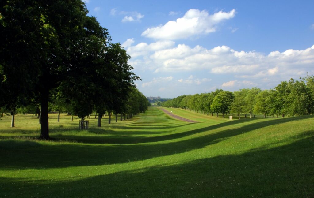 The Long Walk, Windor Great Park, England