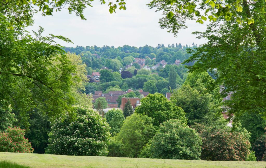 Property in Farnham, Surrey