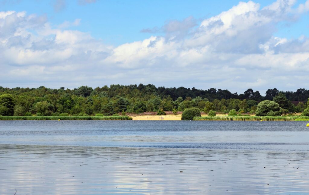 Frensham Pond, Surrey