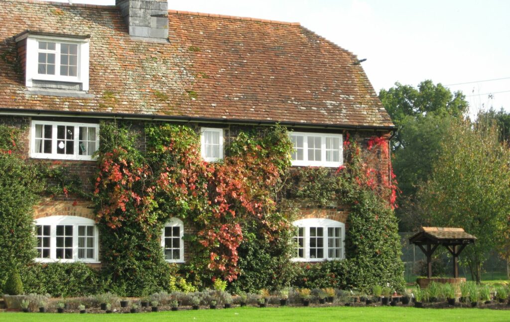 Old Enlish Cottage in the New Forest
