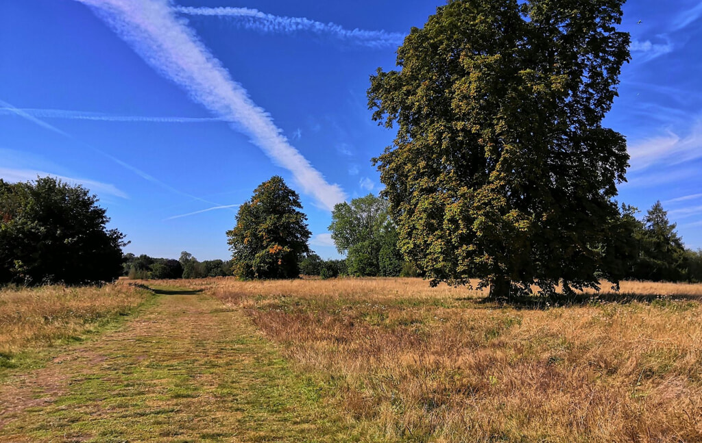 Green spaces in Epsom