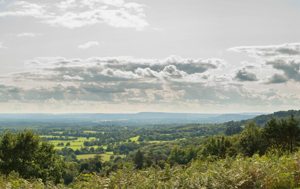Taken top of Holmbury Hill 