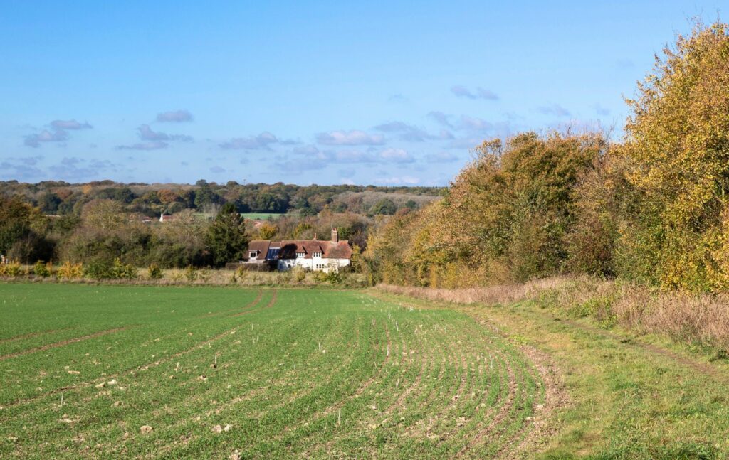 Villages in Hampshire - Odiham